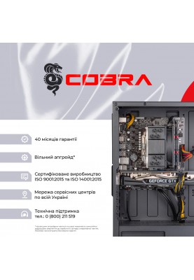Персональний комп`ютер COBRA Advanced (A36.16.S4.165.17506)