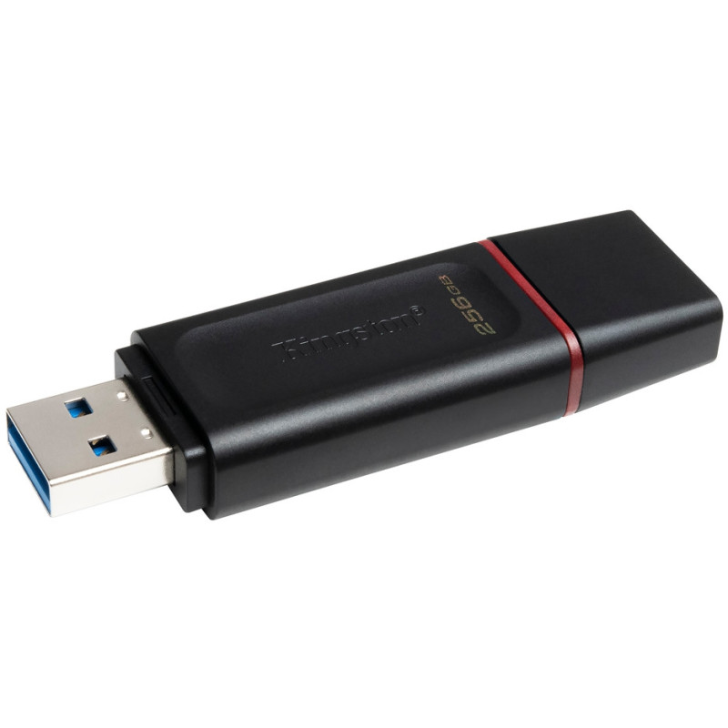 Флеш-накопичувач USB3.2 256GB Kingston DataTraveler Exodia Black/Pink (DTX/256GB)