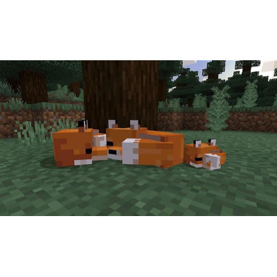Гра Minecraft для Sony PlayStation 4, Russian version, Blu-ray (9704690)