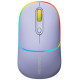 Миша бездротова Canyon MW-22 Dual Band RGB Wireless Mountain Lavender (CNS-CMSW22ML)