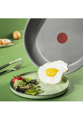 Сковорода Tefal Renewal 24 см (C4260443)