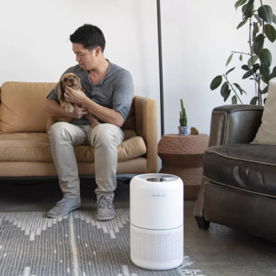 Очищувач повітря Levoit Air Purifier Core P350 Pet Care (HEAPAPLVNEU0035)