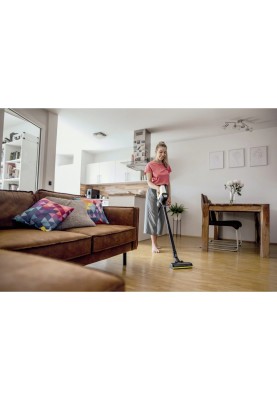 Аккумуляторный пылесос Karcher VC 4 Cordless myHome Pet (1.198-633.0)