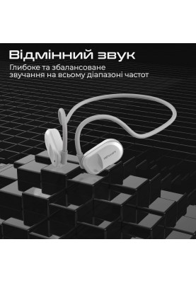 Bluetooth-гарнітура HiFuture FutureMate Black (futuremate.black)