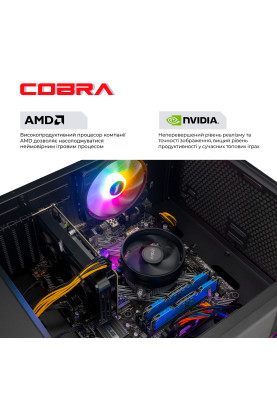 Персональний комп`ютер COBRA Gaming (A75F.64.S10.36.19005)