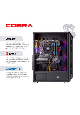 Персональний комп`ютер COBRA Gaming (A75F.64.S10.36.19005)