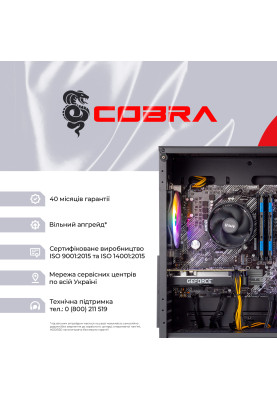 Персональний комп`ютер COBRA Gaming (A75F.64.S10.36.19005)