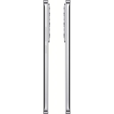 Смартфон Oppo Reno12 12/256GB Astro Silver