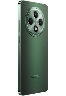 Смартфон Oppo Reno12 F 5G 8/256GB Black Green