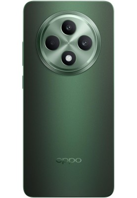 Смартфон Oppo Reno12 F 5G 8/256GB Black Green