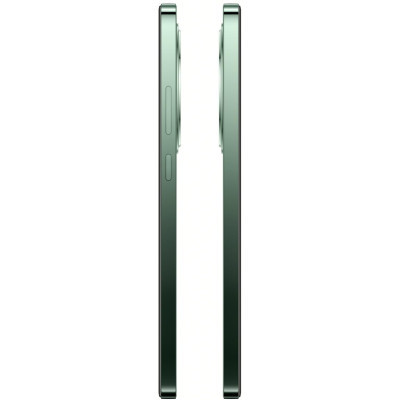 Смартфон Oppo Reno12 FS 12/512GB Black Green