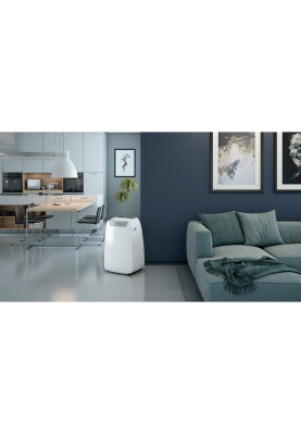 Кондиціонер Olimpia Splendid Dolceclima Air Pro 14 HP Wi-Fi (OS-2029)