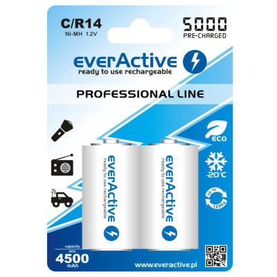 Акумулятор everActive С/HR14 5000mAh BL 2шт Акумулятор everActive С/HR14 5000mAh BL 2шт
