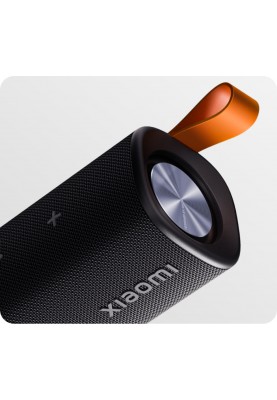 Акустична система Xiaomi Sound Outdoor Global Black (QBH4261GL)_EU