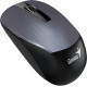 Мишка бездротова Genius NX-7015 (31030015400) Iron Grey USB