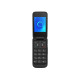 Мобільний телефон Alcatel 2053 Dual Sim Volcano Black (2053D-2AALUA1)