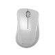 Мишка бездротова Canyon CNE-CMSW11PW Pearl White/Grey USB