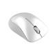 Мишка бездротова Canyon CNE-CMSW11PW Pearl White/Grey USB