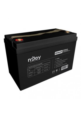 Акумуляторна батарея Njoy GP10012FF 12V (BTVACAHOCEG2FCN01B) VRLA