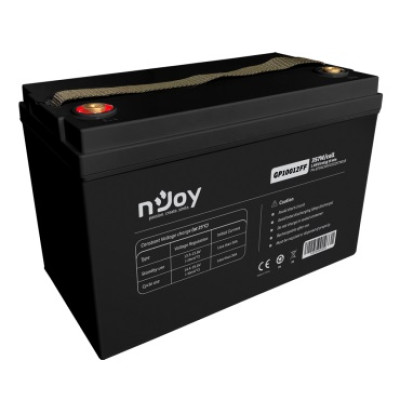 Акумуляторна батарея Njoy GP10012FF 12V (BTVACAHOCEG2FCN01B) VRLA