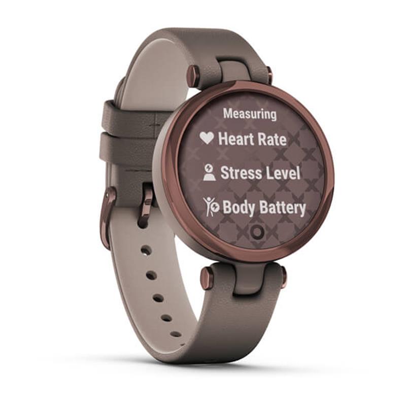 Смарт-часы Garmin Lily Classic Dark Bronze-Paloma (010-02384-B0)