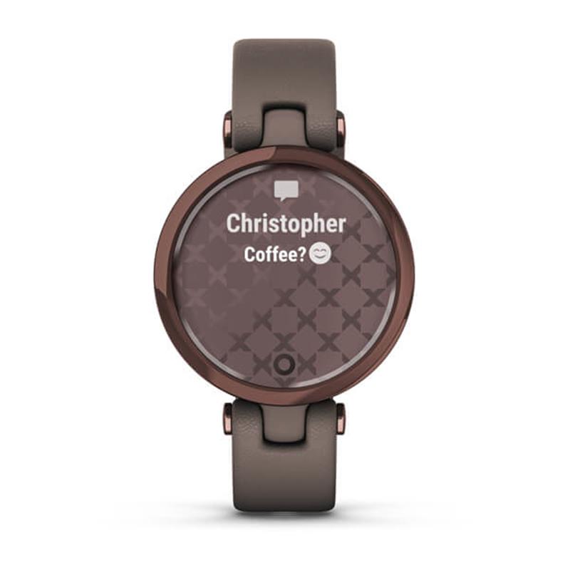 Смарт-часы Garmin Lily Classic Dark Bronze-Paloma (010-02384-B0)