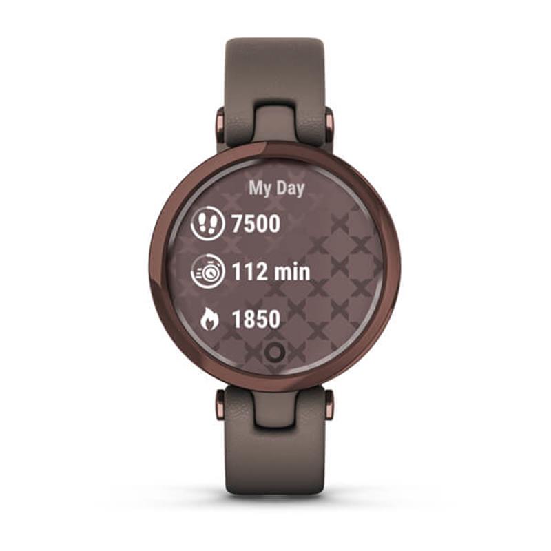 Смарт-часы Garmin Lily Classic Dark Bronze-Paloma (010-02384-B0)