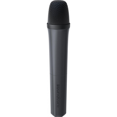 Акустична система Anker SoundCore Rave 3S Black (A31A3012)