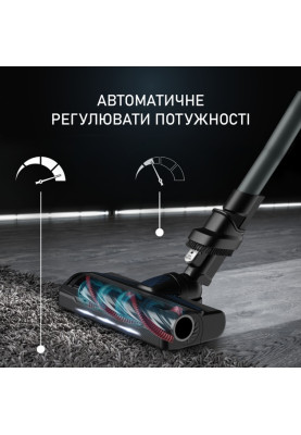 Акумуляторний миючий пилосос Rowenta X-Force 9.6 Aqua Alnimal (RH20C7WO)