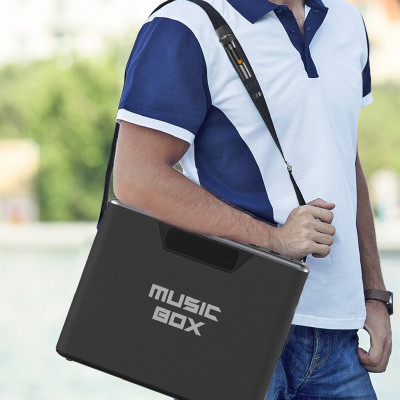 Акустична система HiFuture MusicBox 100W Black Акустична система HiFuture MusicBox 100W Black