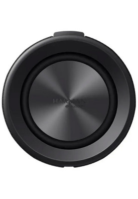 Акустична система Xiaomi Bluetooth Speaker Black (QBH4275GL)
