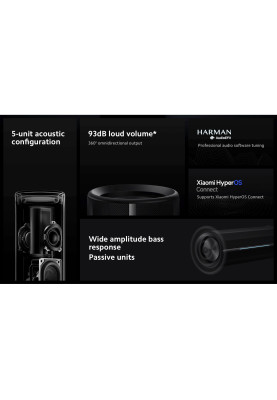 Акустична система Xiaomi Bluetooth Speaker Black (QBH4275GL)