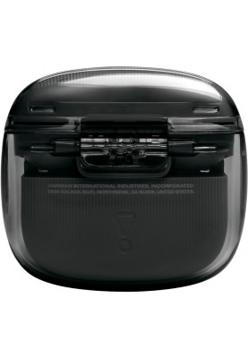 Bluetooth-гарнітура JBL Tune Flex 2 Ghost Black (JBLTFLEX2GBLK)