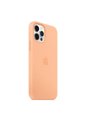 Чохол-накладка Apple Silicone Case with MagSafe для Apple iPhone 12 Pro Max Pistachio (MK053)