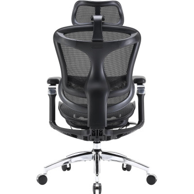 Крісло офісне Sihoo Doro C300 Pro Mesh Black (DORO-C300-PRO-M101)