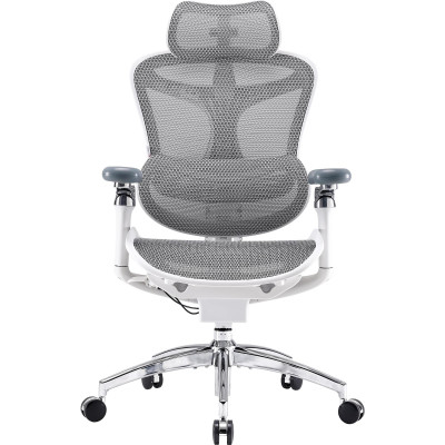 Крісло офісне Sihoo Doro C300 Pro Mesh White (DORO-C300-PRO-M102)