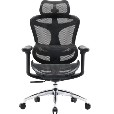 Крісло офісне Sihoo Doro C300L Mesh Black (DORO-C300L-A3-101)
