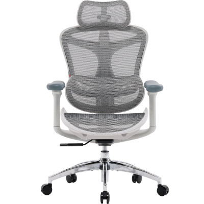 Крісло офісне Sihoo Doro C300L Mesh White DORO-C300L-A3-102)