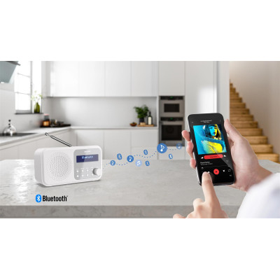 Радіоприймач Sharp DR-P420 Snowy White (DR-P420(WH))