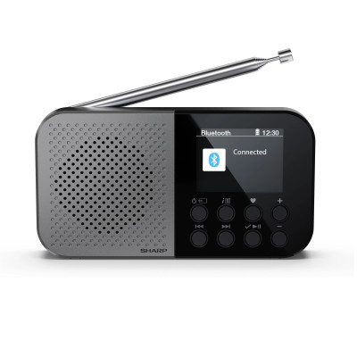 Радіоприймач Sharp DR-P520 Grey (DR-P520(GY))