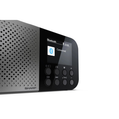 Радіоприймач Sharp DR-P520 Grey (DR-P520(GY)) Радіоприймач Sharp DR-P520 Grey (DR-P520(GY))