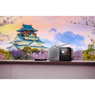 Радіоприймач Sharp DR-P520 Grey (DR-P520(GY)) Радіоприймач Sharp DR-P520 Grey (DR-P520(GY))