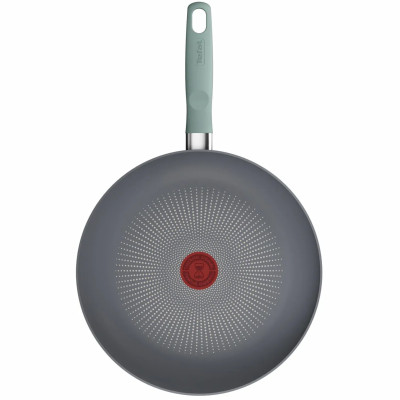 Сковорода Tefal Halo Eucalyptus 28 см (G0160602) Сковорода Tefal Halo Eucalyptus 28 см (G0160602)