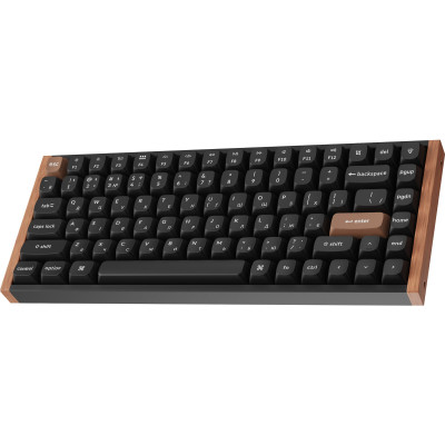 Клавіатура бездротова Keychron K2 HE Magnetic Switch Black RGB (K2H-F1-UA) Клавіатура бездротова Keychron K2 HE Magnetic Switch Black RGB (K2H-F1-UA)