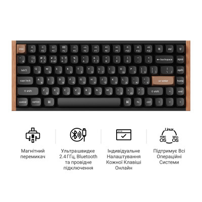 Клавіатура бездротова Keychron K2 HE Magnetic Switch Black RGB (K2H-F1-UA) Клавіатура бездротова Keychron K2 HE Magnetic Switch Black RGB (K2H-F1-UA)