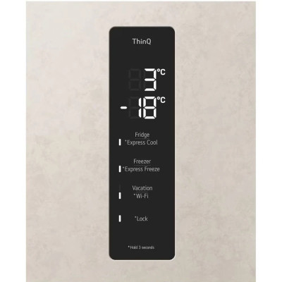 Холодильник LG GC-B509FEMW