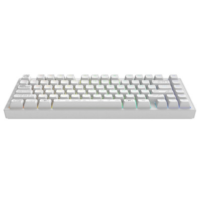Клавіатура Dark Project ALU81 Terra Nova White (DPKB_NOVA_81_ANSI_WHITE_UA) Клавіатура Dark Project ALU81 Terra Nova White (DPKB_NOVA_81_ANSI_WHITE_UA)