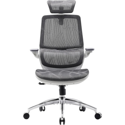 Крісло офісне Sihoo M59AS Mesh Gray (M59AS-M301)