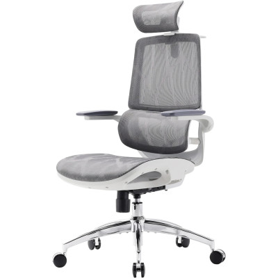 Крісло офісне Sihoo M59AS Mesh Gray (M59AS-M301)