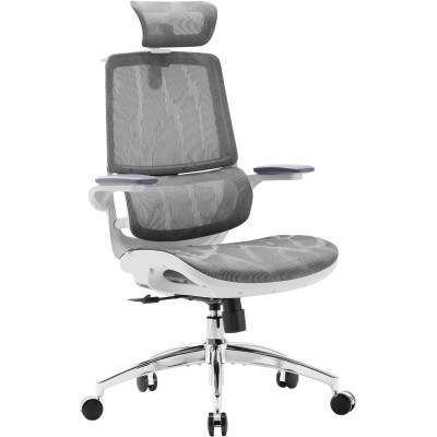 Крісло офісне Sihoo M59AS Mesh Gray (M59AS-M301)